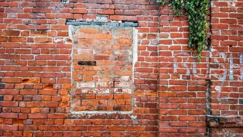 The brick wall, the window is bricked, the old cement red brick in the summer in Stock Photos