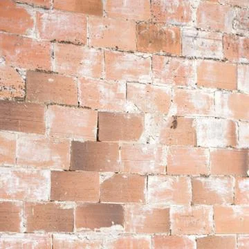 Brick wall for your design Stock Photos