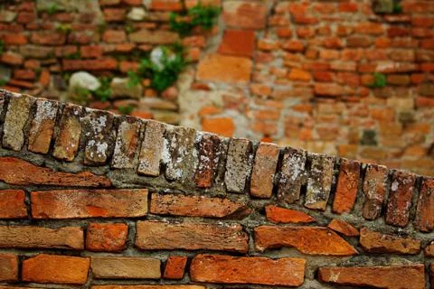 Brick walls with diagonal Stock Photos