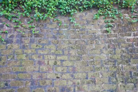Brick walls of the old Stock Photos