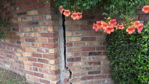 Brick work in need of repair tilt down Stock Footage 75552650