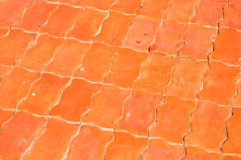 Brick worm. Stock Photos