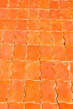 Brick worm. Stock Photos