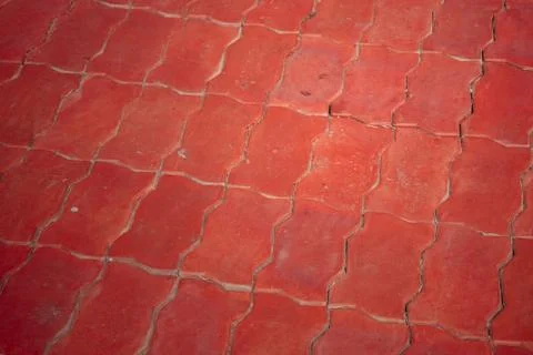 Brick worm. Stock Photos