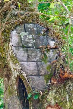 Bricked oak Foto stock