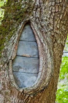 Bricked oak Foto stock