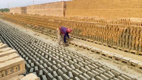 Brickfield worker arranging raw unfired clay bricks in drying rows in Bangladesh Stock-Footage 348395790