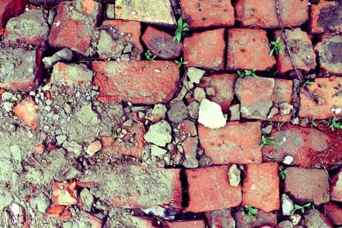 Bricklaying from broken red brick with sprouted grass Stock Photos