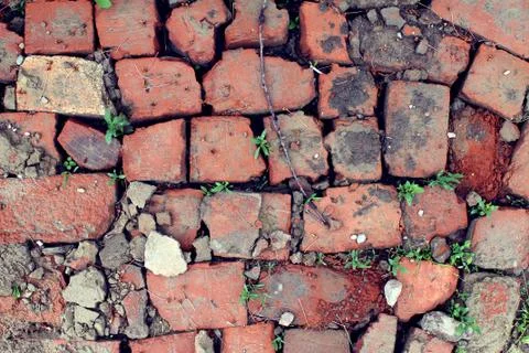 Bricklaying from broken red brick with sprouted grass Stock Photos