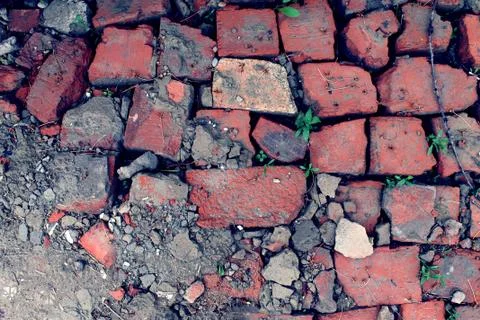Bricklaying from broken red brick with sprouted grass Stock Photos