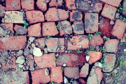 Bricklaying from broken red brick with sprouted grass Stock Photos