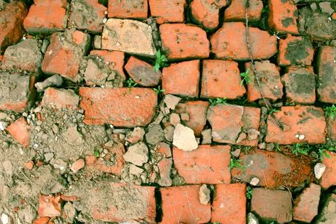 Bricklaying from broken red brick with sprouted grass Stock Photos