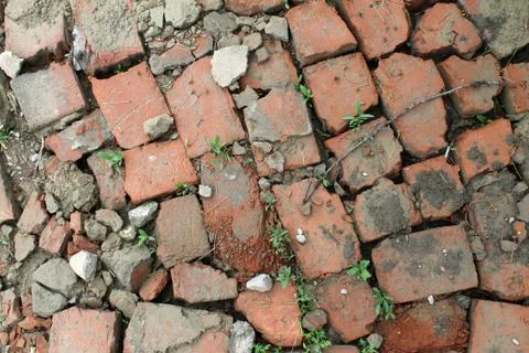 Bricklaying from broken red brick with sprouted grass Stock Photos