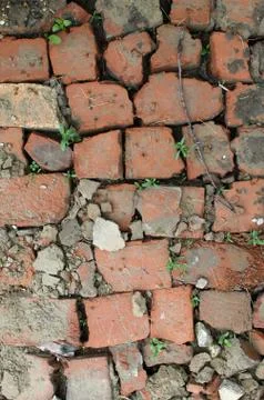 Bricklaying from broken red brick with sprouted grass Stock Photos