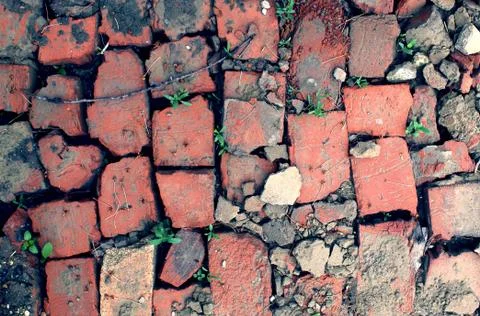 Bricklaying from broken red brick with sprouted grass Stock Photos