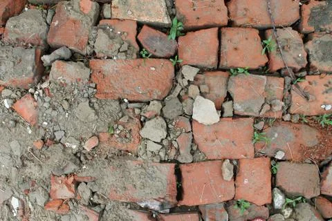 Bricklaying from broken red brick with sprouted grass Stock Photos