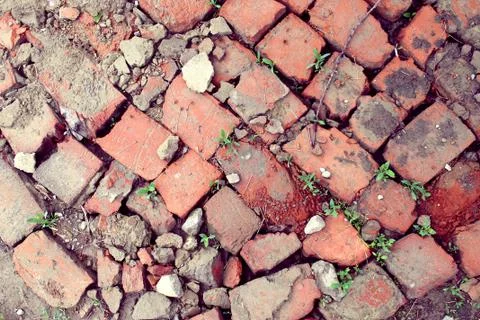 Bricklaying from broken red brick with sprouted grass Stock Photos