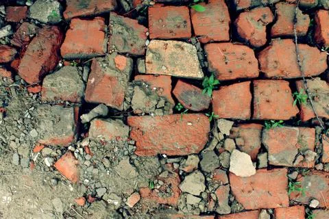 Bricklaying from broken red brick with sprouted grass Stock Photos