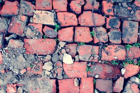 Bricklaying from broken red brick with sprouted grass Stock Photos