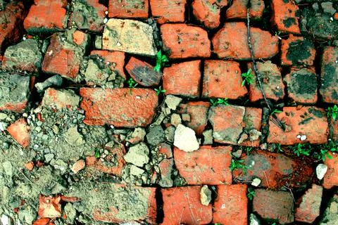 Bricklaying from broken red brick with sprouted grass Stock Photos