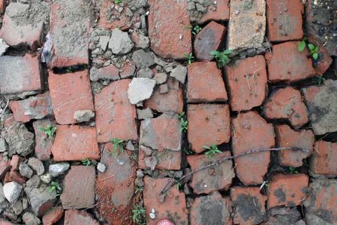 Bricklaying from broken red brick with sprouted grass Stock Photos