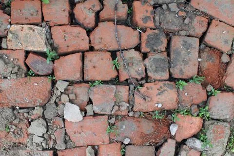 Bricklaying from broken red brick with sprouted grass Stock Photos