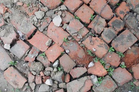 Bricklaying from broken red brick with sprouted grass Stock Photos