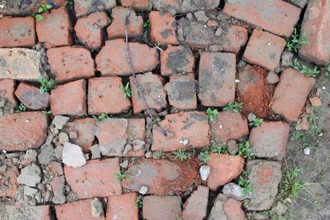 Bricklaying from broken red brick with sprouted grass Stock Photos