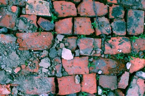 Bricklaying from broken red brick with sprouted grass Stock Photos