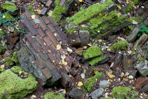 Bricks and moss garden background Stock Photos