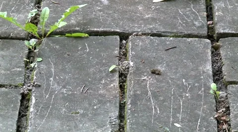 Bricks background Stock Footage 8509392