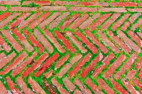 Bricks Bricks Laid as Herringbone Pattern with Streaks of Green Grass Betw... Stock Photos