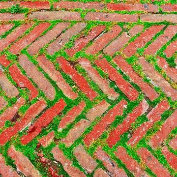 Bricks Bricks Laid as Herringbone Pattern with Streaks of Green Grass Betw... 스톡 사진