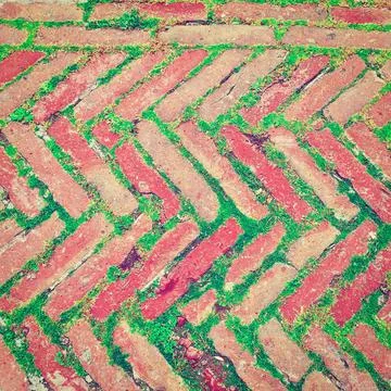Bricks Bricks Laid as Herringbone Pattern with Streaks of Green Grass Betw... 스톡 사진