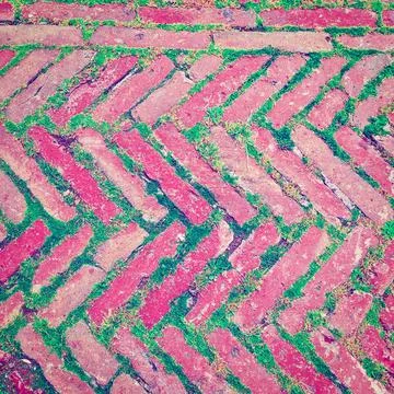 Bricks Bricks Laid as Herringbone Pattern with Streaks of Green Grass Betw... Foto stock