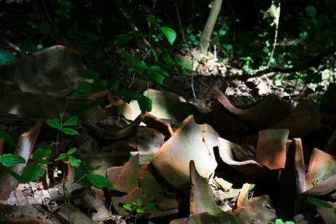 Bricks broken in a forest, clear sign of Human Pollution Фото
