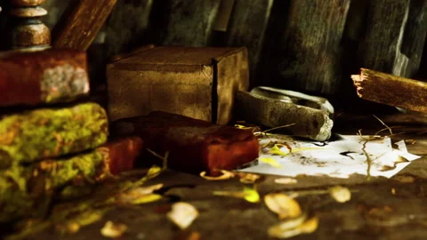 Bricks covered with moss and leaves in an old wooden space Video stock 343547026