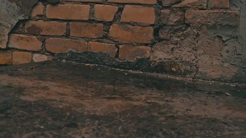 Bricks Stock Footage 77537860