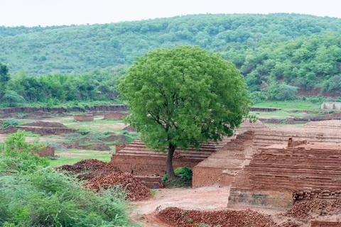 Bricks making Stock Photos