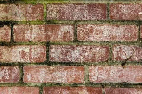 Bricks with masonry mortar joints Foto stock