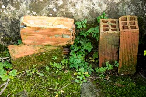 Bricks 스톡 사진