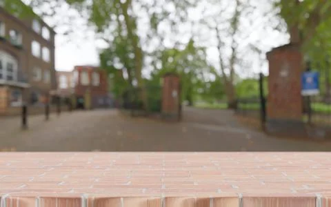 Bricks Table Top with municipal park background Stock Photos