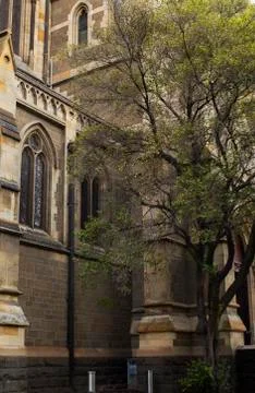 Bricks v Nature Stock Photos