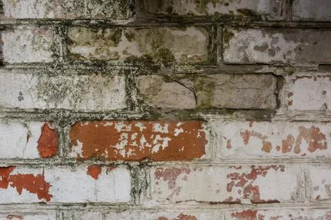 Bricks wall background Stock Photos