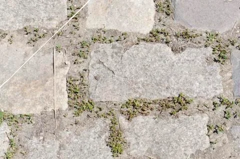 Bricks Wall Texture 2 Stock Photos