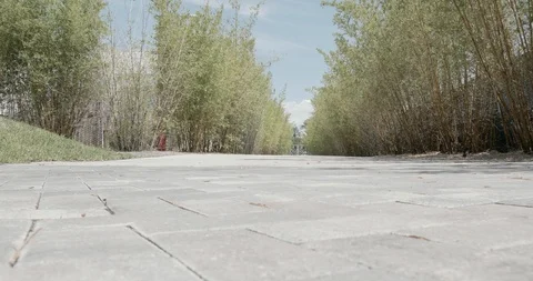 A bricks's road with bamboo by the both sides Stock Footage 92188892