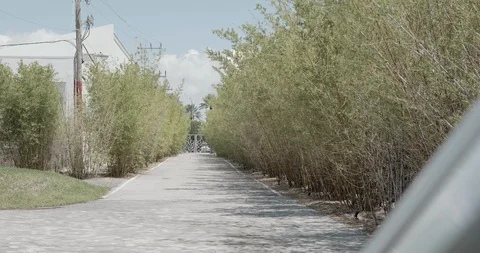 A bricks's road with bamboo by the both sides Stock Footage 92188990