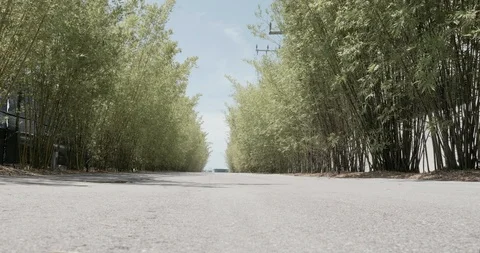 A bricks's road with bamboo by the both sides Stock Footage 92190142