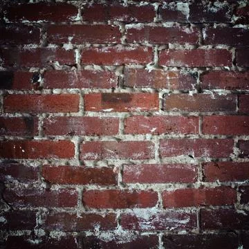 Brickwall background texture Brickwall background texture Copyright: xZoon... 스톡 사진
