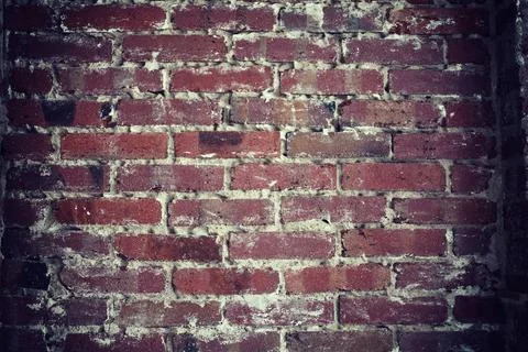 Brickwall background texture Brickwall background texture Copyright: xZoon... Foto stock